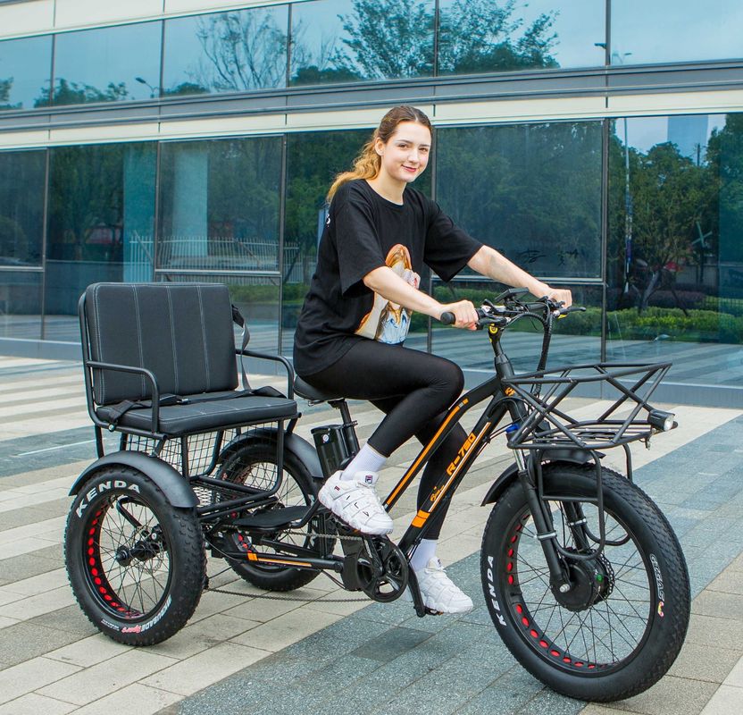 Down Tube 48V 750W 17AH Lithiumbatterij 45KM/H bafang Voormotor Elektrische Passagiers driewieler