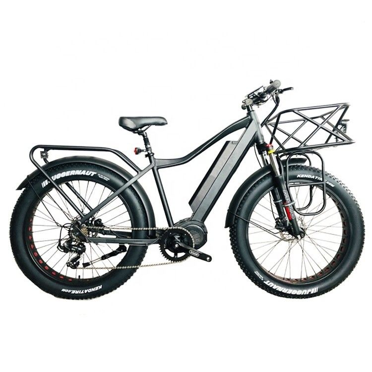 Amerikaanse markt EN15194 CPSC 48V 1000W 17AH Elektrische bergfiets met Bafang Middenmotor