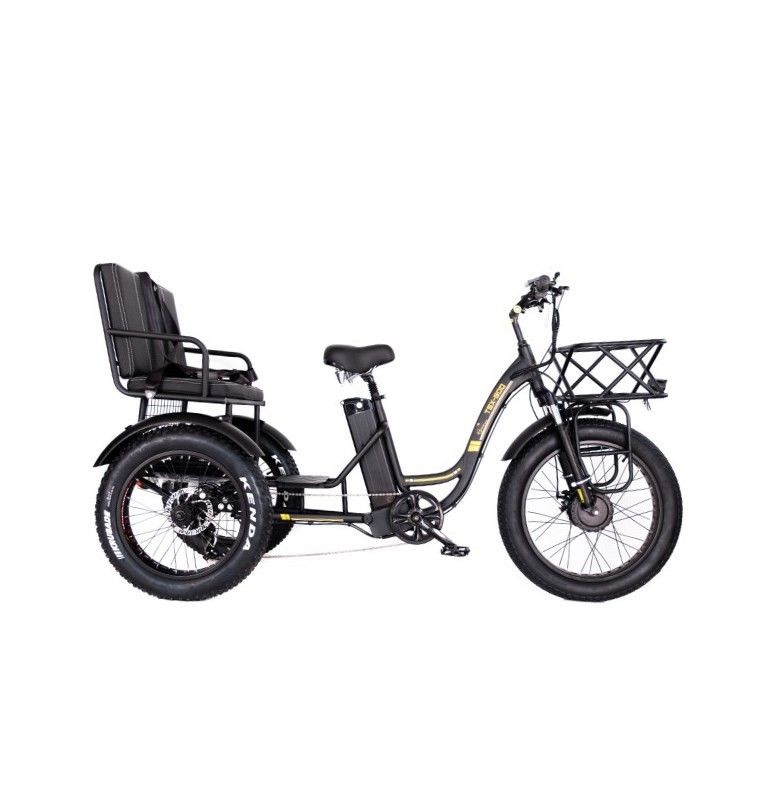16.7 Ah Batterijcapaciteit 750 WAT ZWARDE RICKSHAW ELECTRICHE TRICYCLE voor Passagiers