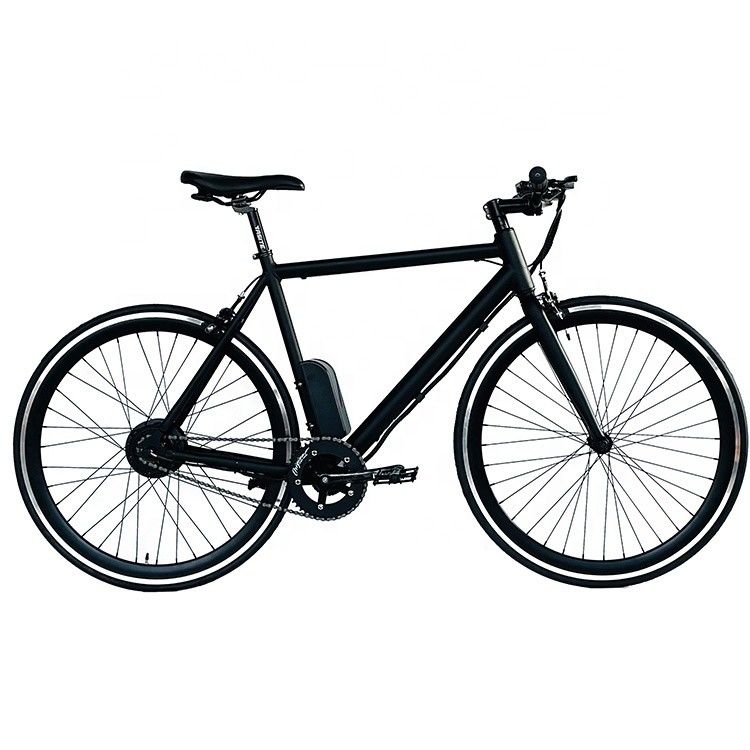 700C 350W 36V 8.8AH Aluminium Frame CE OEM Op maat gemaakt Europa Elektrische single speed mannenfiets