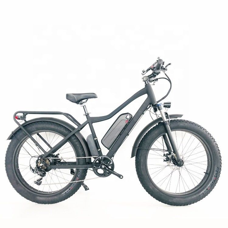 48V 1000W 17AH 50KM/H USA OEM Customized Fat Tire Elektrische bergfiets voor vracht
