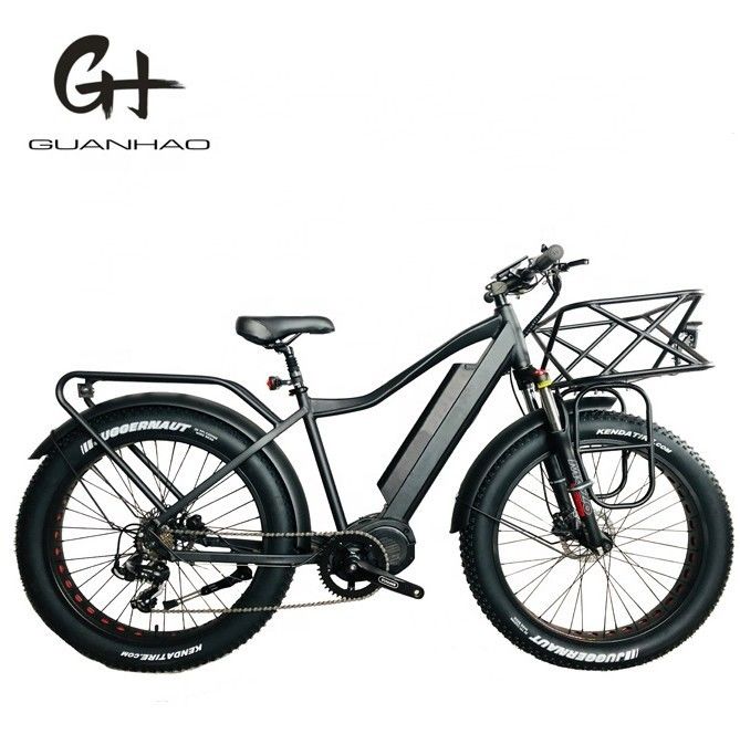 26x4.0 inch Mountain Electric Fat Tire Bike met 1000W Diver Motor en Front Carrier