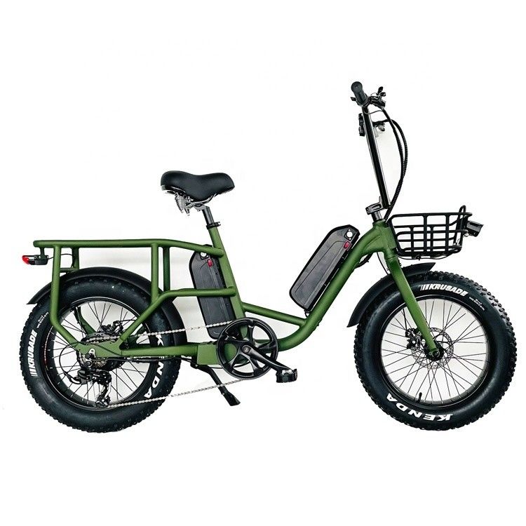 20&quot; 48V 34AH Lithiumbatterij 1000W 50KM/H Aluminium Frame 7 snelheden Cargo Electric Dual Battery Hybrid Fat Snow Tire 4.0 Fiets