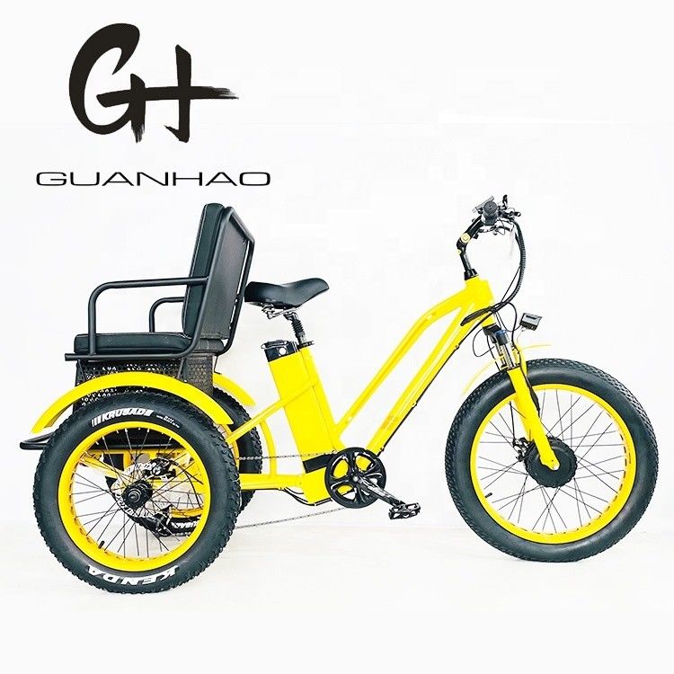 US Fat Tire Elektrische driewieler met 1000W Bafang motor en aluminium pedaal