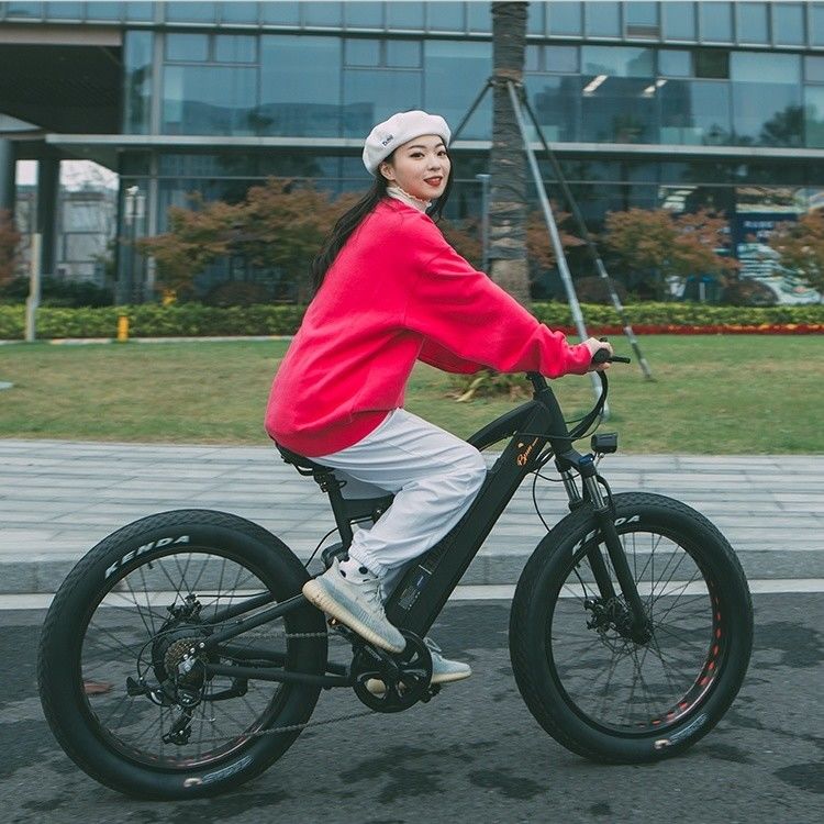 24 inch Fat 4.0 band 48V 1000W 50KM/H Volle ophanging 21AH Elektrische bergfiets E-bikes