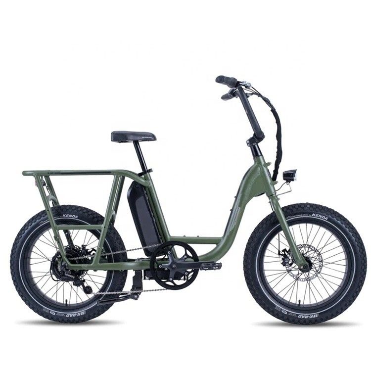 48V 1000W 32MPH Electric Hybrid Cargo Bike met 20&quot;4.0 Fat Tire en koppel van 80-90 Nm