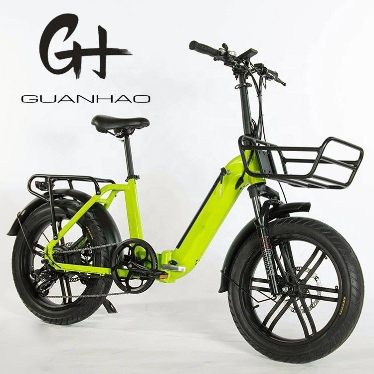 750W Magwheel Motor Door Aluminium vouw frame Suspension Fork Elektrische vouwfiets