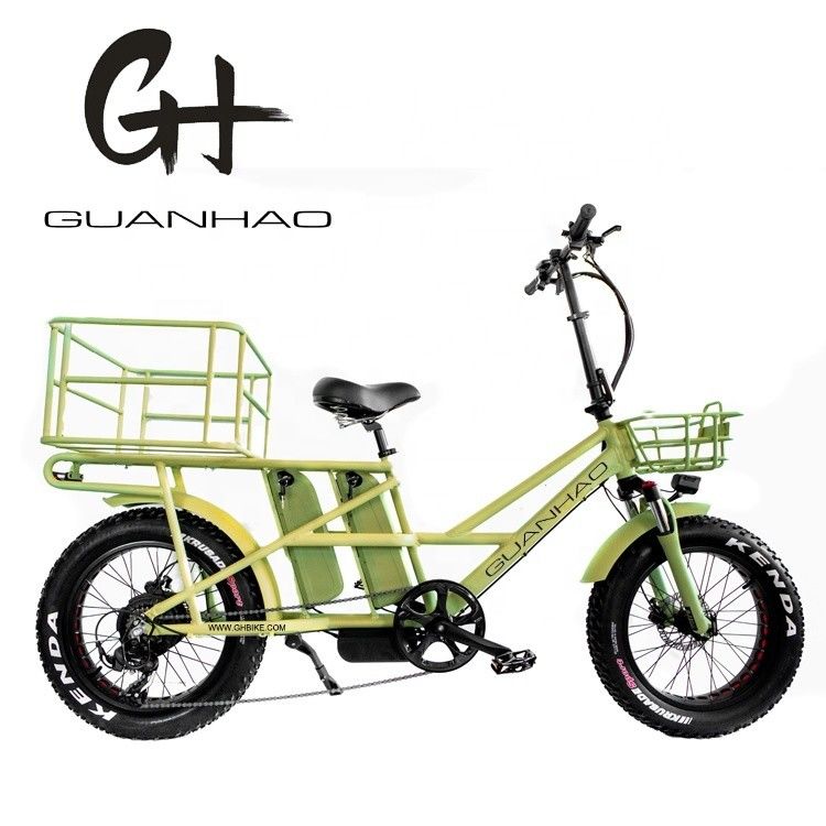 Aluminium frame 48V34AH 1000W Fat tire ebike met dubbele batterijen en twee manden