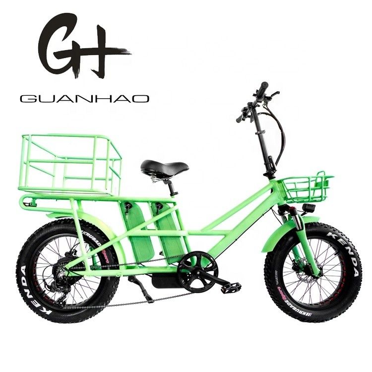 20 inch ophanging CE OEM 48V 34AH 1000W 8FUN MOTOR CHINESE DUAL BATTERY ELECTRIC BICKE