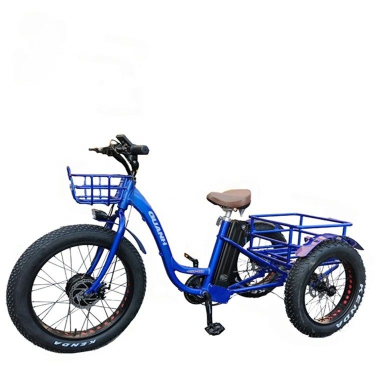 Rijden Type Electric 24&quot;x4.0 Fat Tire Electric Cargo Tricycle met 48V 1000w motor