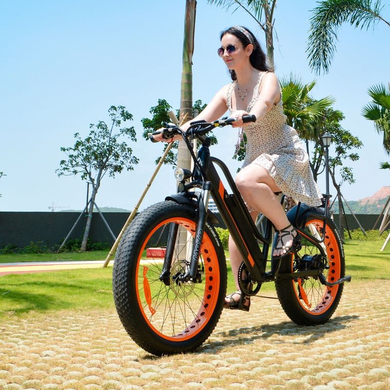 750W 50KM/H A2B CE Chinese OEM 48V Motor Fat Tire Elektrische bergfiets Goed Leuk