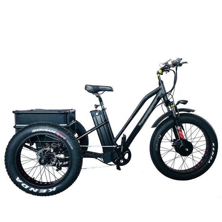 Big Power 48V 13AH 750W 45KM/H UL2849 Bafang Front Motor Elektrische vetband driewieler 20