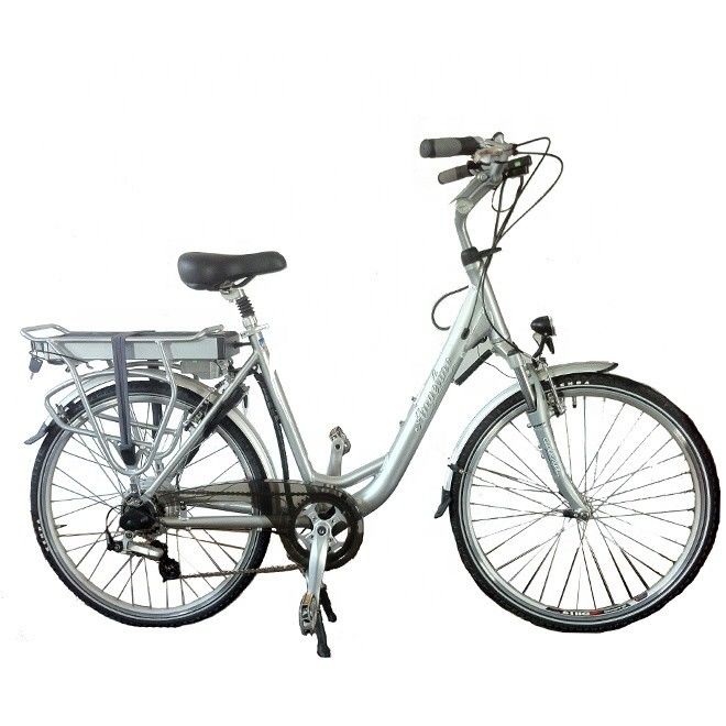 Achterhoekmotor 700C EN15194 Europa CE 36V 250W 20KM/H Vrouwen Nederlandse Dames Elektrofiets