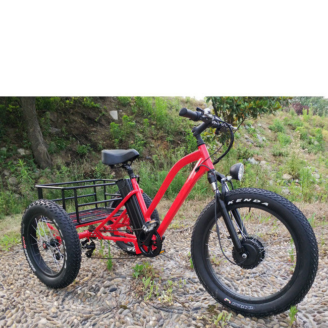 500W Cargo Volwassenen 3 Wiel Elektrische Fiets met Fat Aluminium Rim en EN71 Certificaat