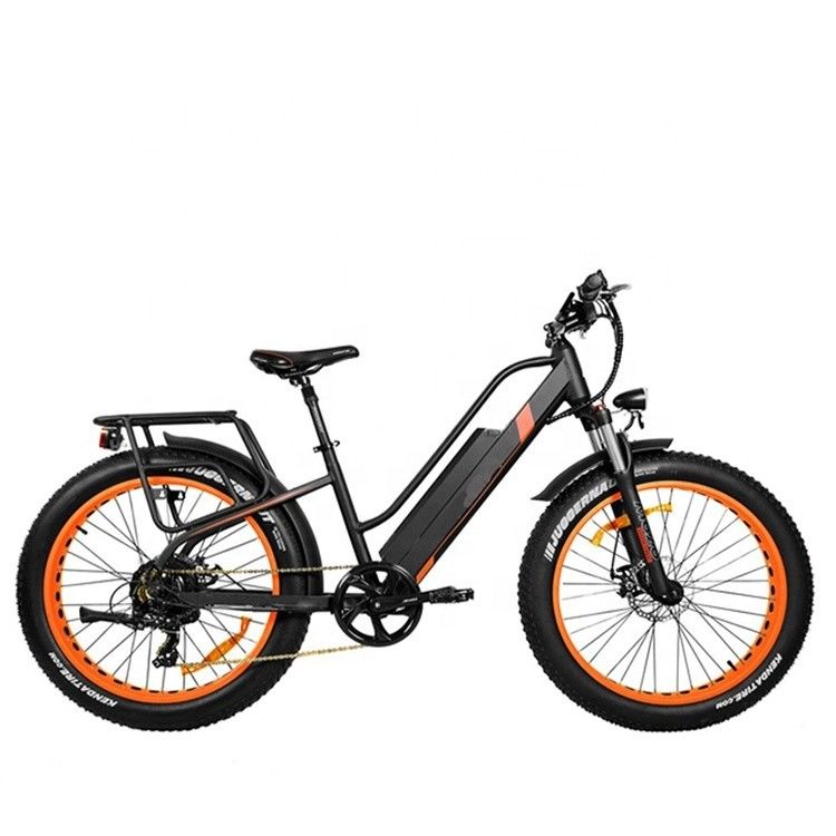 26 &quot;A2B MOTAN 450 P7 500W/750W/1000W 17AH Dikke band Sneeuwberg Elektrische sneeuw-e-bike